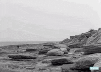 tcm beach picture selfie persona GIF