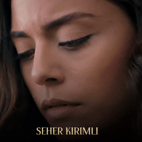 GIF by Eccho Rights