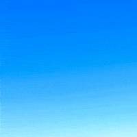 ronakprasadlp7 reaction meme why disbelief GIF