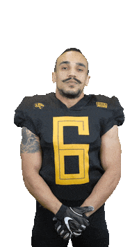 leopardsrouen rouen fffa footballaméricain runningback Sticker