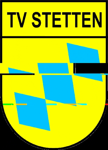 TVSTETTENFUSSBALL logo stetten tvstetten GIF