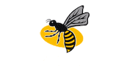 Rugby Netball Sticker by Wasps