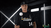Tulane Rollwave GIF by GreenWave