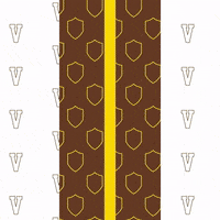 GIF by Valparaiso University