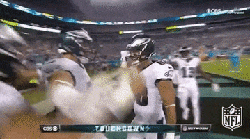 zach ertz football GIF by NFL