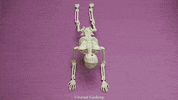 Dance Art GIF by Cookingfunny