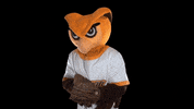 Ncaa Mascot GIF by Rowan University