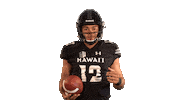Rainbow Warriors Sticker by Hawaii Athletics