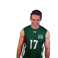 Usa Volleyball Sticker by Hawaii Athletics