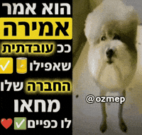 Dog Hebrew GIF