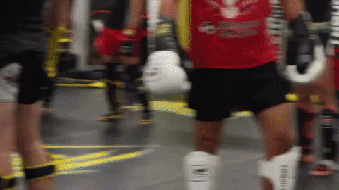 CCNorge giphyupload GIF