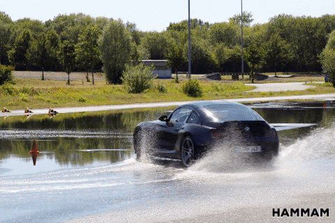 Hammam84 giphygifmaker hammamdrift GIF