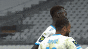 Football Soccer GIF by Ligue 1