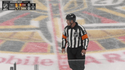 Chicago Blackhawks Nhl GIF