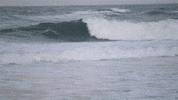 North Carolina Beach GIF by MaRynn Taylor