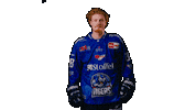 Allison Sticker by Straubing Tigers