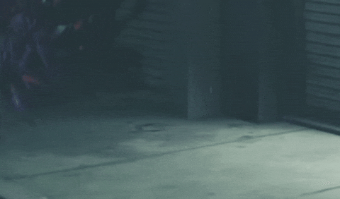 Zzz Run Away GIF