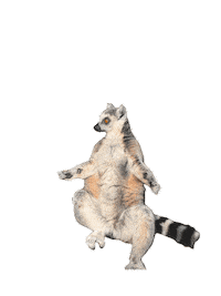 Chillin Tier Sticker by OWLY