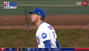 Chicago Cubs Baseball GIF