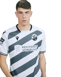 3Liga Sticker by SV Sandhausen