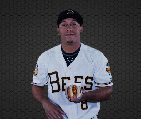 SaltLakeBees giphyupload baseball popcorn bees GIF