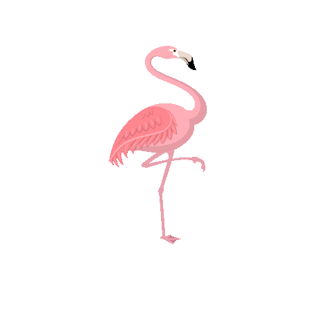 Flamingo Sticker by Hotel Belmont