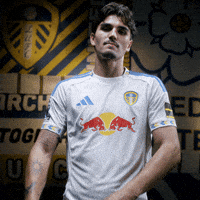 Pascal Lufc GIF by Leeds United