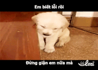 lozico duong-gif2 GIF