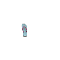 Flip Flop Zori Sticker by Havaianas