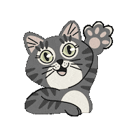 fooxyla art cat hello salut Sticker