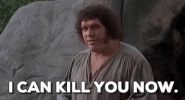 the princess bride GIF