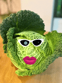 Cabbage Wirsing GIF