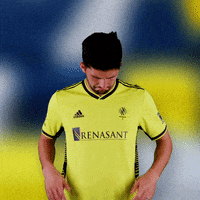 Major League Soccer Football GIF by Nashville SC