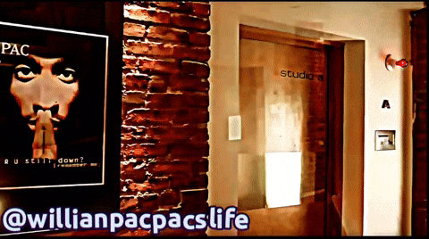 Willianpacpacslife GIF