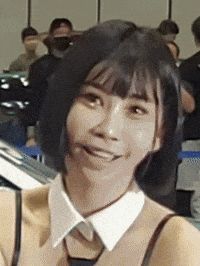 Model GIF