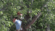 Chainsaw Hard Hat GIF by JC Property Professionals