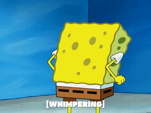 season 5 episode 13 GIF by SpongeBob SquarePants