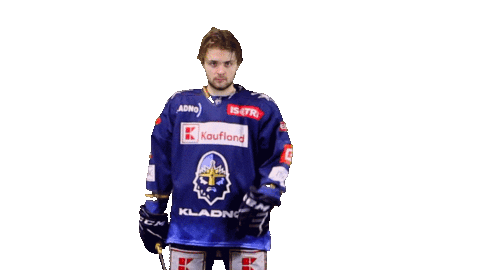 Hockey Hokej Sticker by Rytíři Kladno
