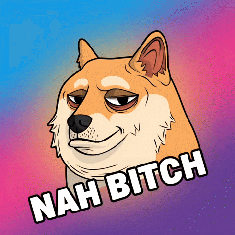 Unimpressed Shiba Inu GIF by Doge Pound