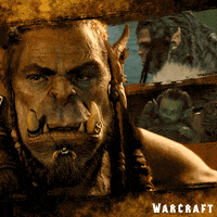 GIF by Warcraft