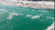 Gta Rockstar GIF by EsZ  Giphy World