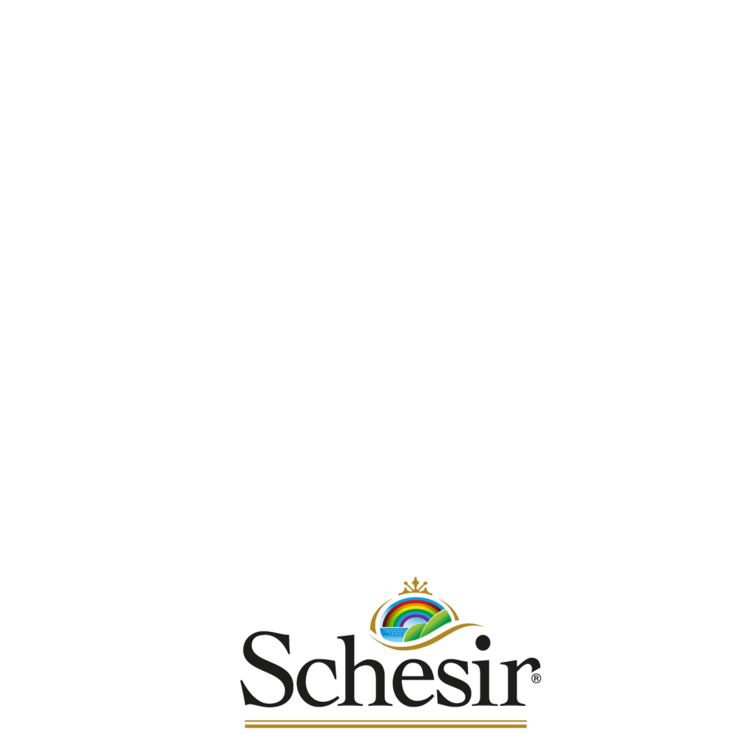 Schesir giphyupload cat dog pet Sticker