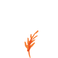 Plant Grow Sticker