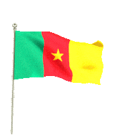 Cameron Lets Guide Sticker by Omer Ali