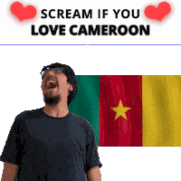 Cameroon Flag Cm Sticker