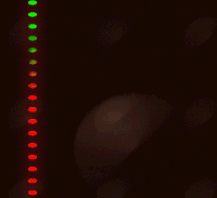 geometric GIF by xpandamind