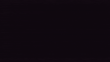 Life-changing safaris to Africa with Yellow Zebra