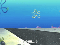 season 6 porous pockets GIF by SpongeBob SquarePants