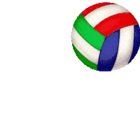 Volleyball Earj Sticker by Escola Americana do Rio de Janeiro