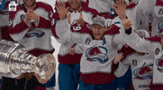 Happy Stanley Cup GIF by NHL
